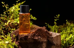 How to Choose the Right Woody Perfume for Men Based on His Personal Style