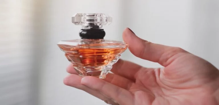 What Factors Determine the Performance of Long-Lasting Perfumes