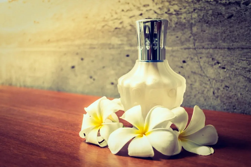 Vanilla Cologne for Men and Women What Makes This Fragrance So Timeless
