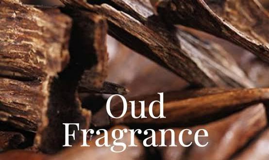 Oud-Wood Cologne for Arabic Perfume Buyers