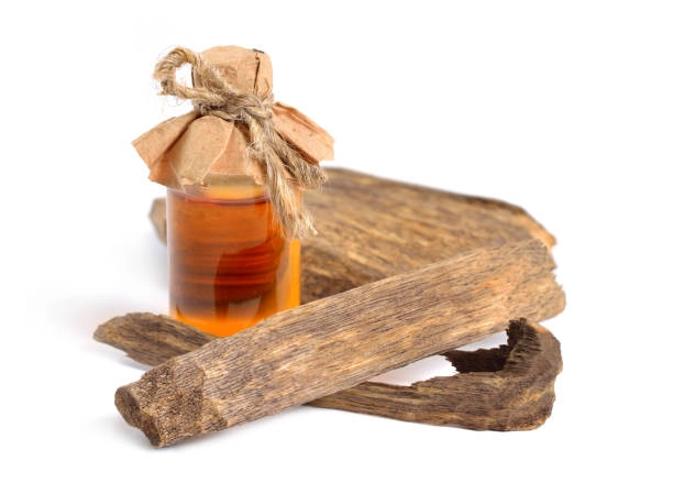 oud perfume